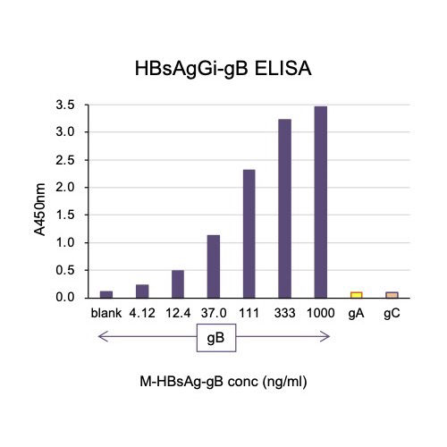 HBsAgGi ELISA